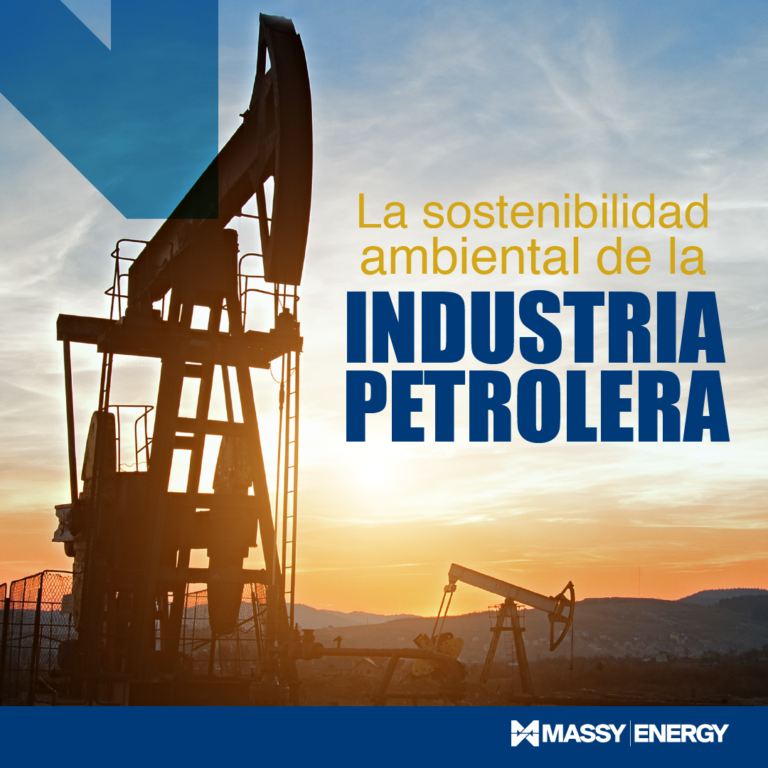 sostenibilidad ambiental